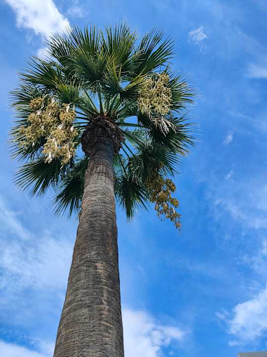 Außenansicht Hotel Kriopigi