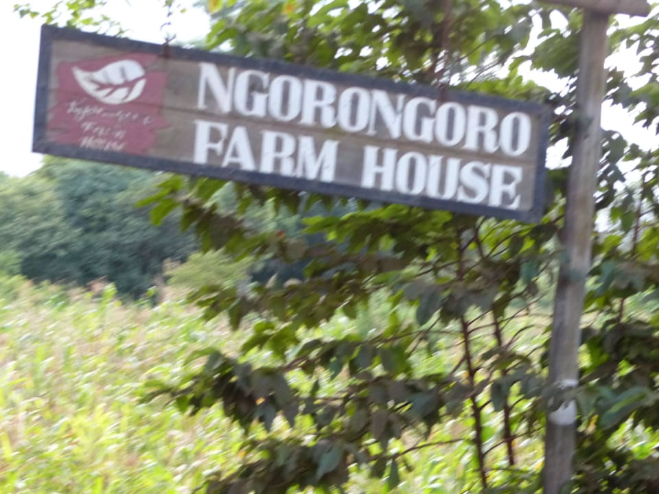 An der Lodgeeinfahrt Ngorongoro Farm House
