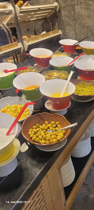 Gastro Seashell Vega