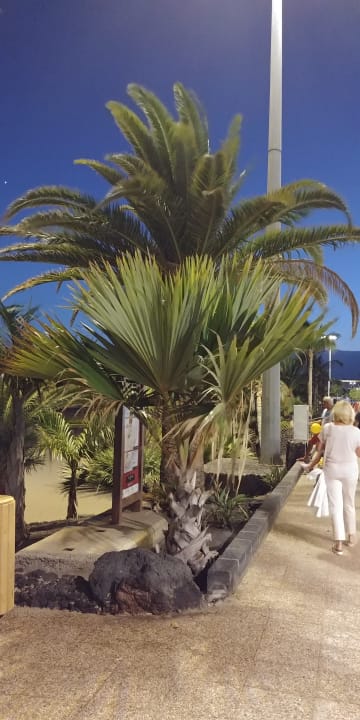 Sonstiges Bungalows & Appartements Playamar