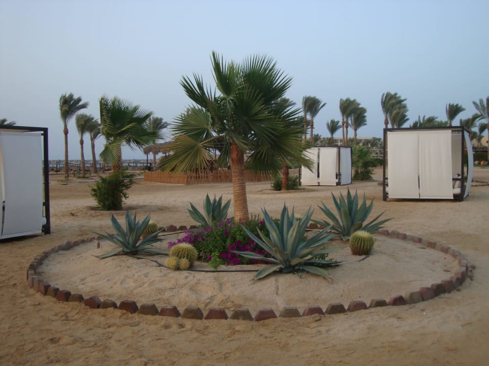 Liebevoll gestaltet Jaz Solaya