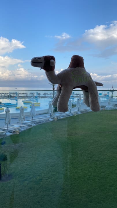 Zimmer Iberostar Selection Kuriat Palace