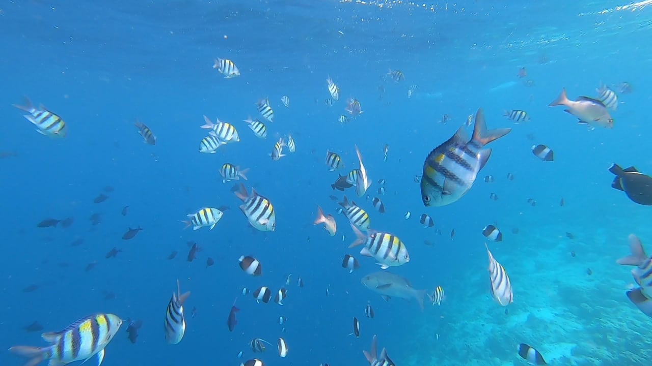 Sport & Freizeit NH Collection Maldives Reethi Resort