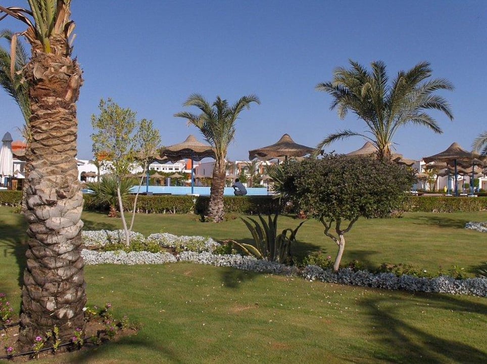 . Fantazia Resort Marsa Alam