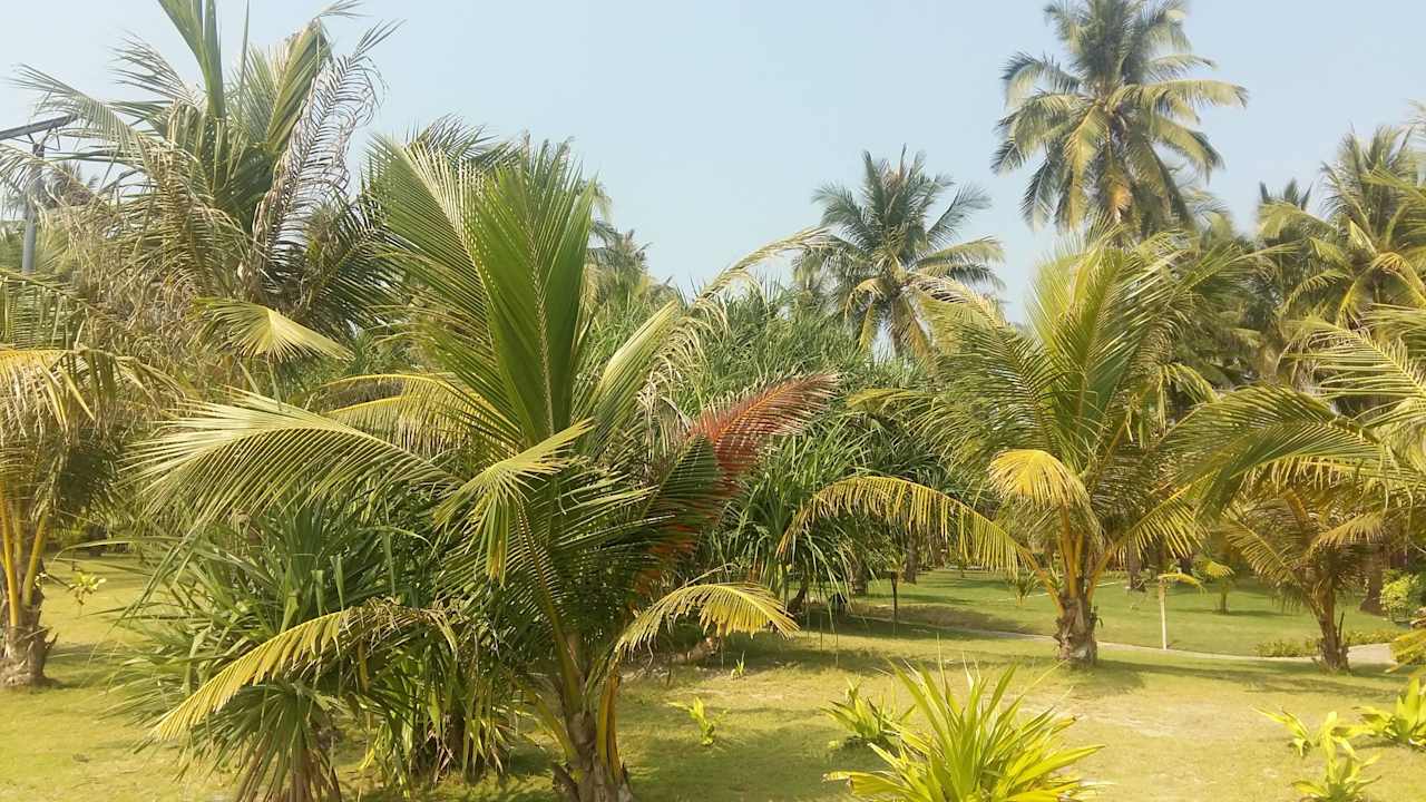 Aureum Palace Resort Hotel Aureum Palace Resort