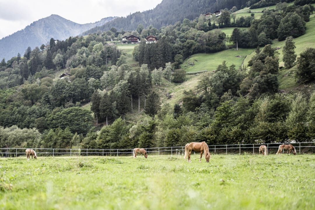 Sport & Freizeit STROBLHOF Active Family SPA Resort