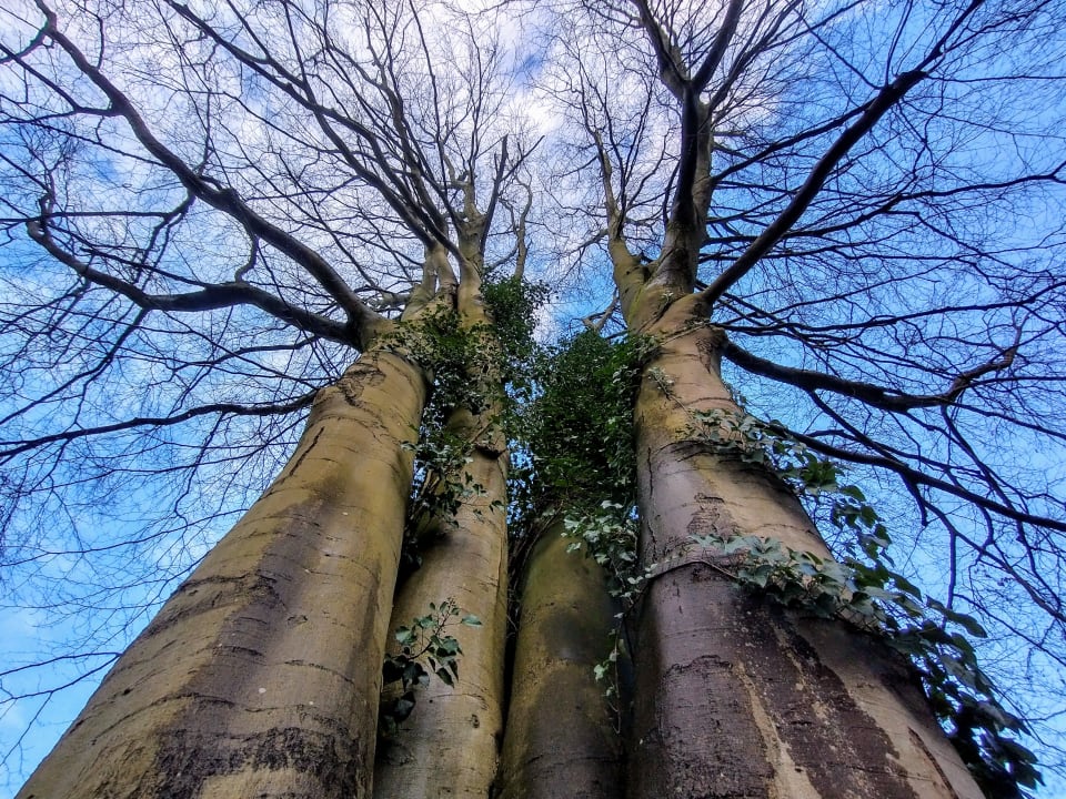 Gartenanlage Heidhöhe, Ferienwohnung