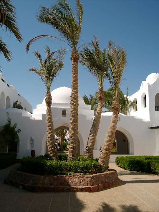 Immer wieder schön Arabella Azur Resort