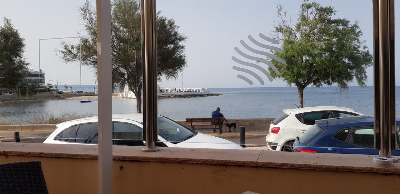 Ausblick AluaSoul Palma