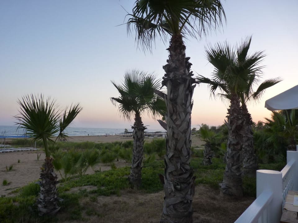 Vom Restaurant auf den Strand Club Grand Aqua