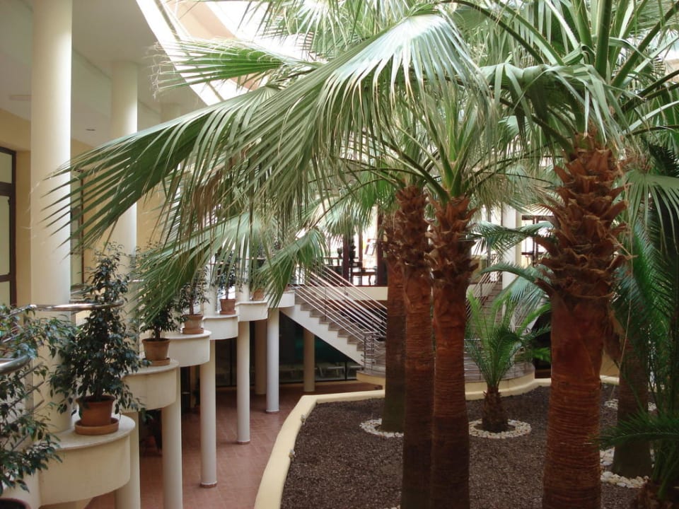 Innenhof allsun App.-Hotel Orient Beach