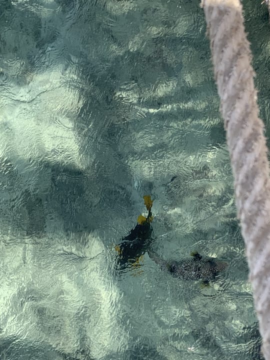 Strand Stella Beach Resort & Spa Makadi Bay