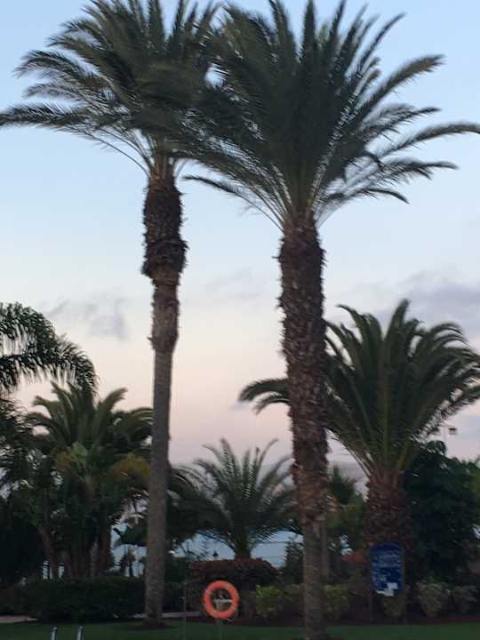 Ausblick R2 Rio Calma Hotel & Spa & Conference