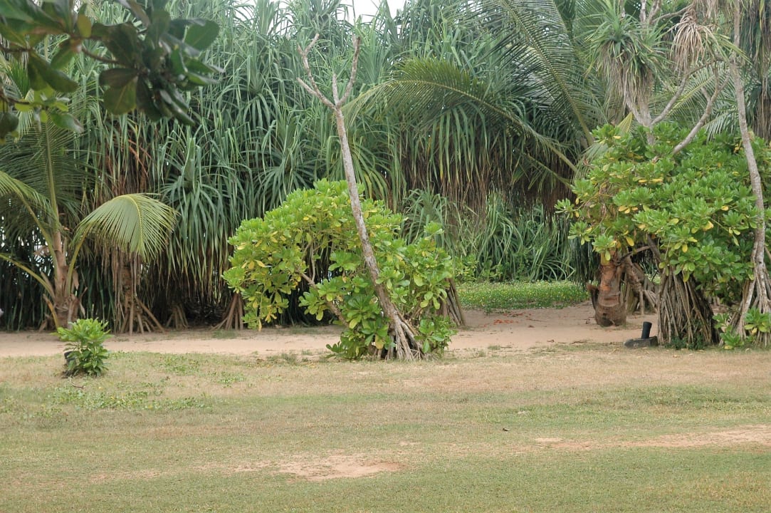 Gartenanlage Heritance Ahungalla