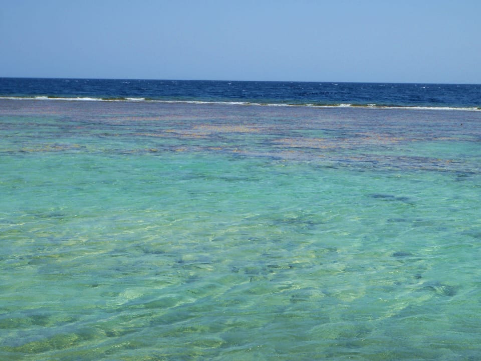 W drodze do statku Three Corners Sea Beach Resort