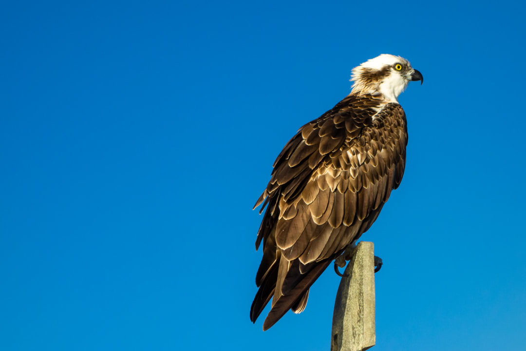Strand Casa Mare Resort