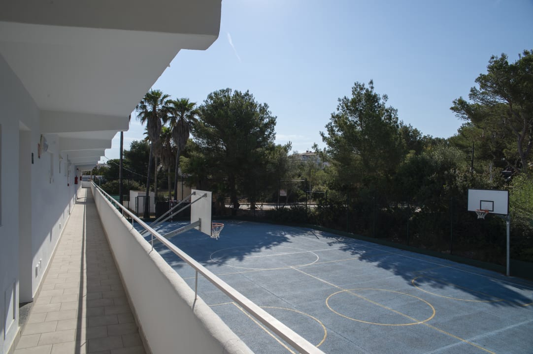 Sport & Freizeit Mallorca Cecilia Apartamentos
