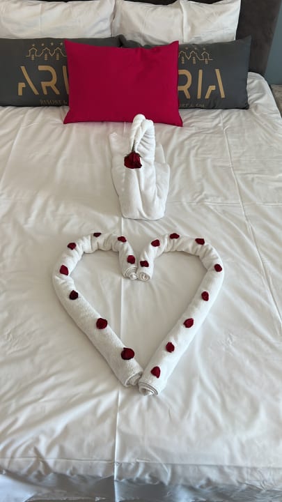 Zimmer Aria Resort & Spa