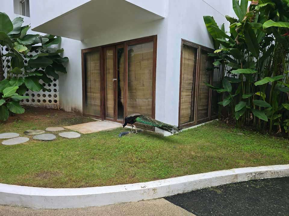 Gartenanlage Eden Beach Resort & Spa, A Lopesan Collection Hotel