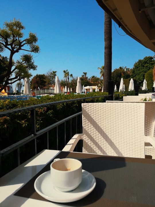 Gastro Palmeras Beach Hotel