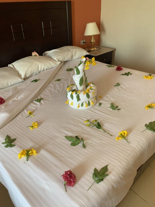 Zimmer Riviera Aqua Park Resort