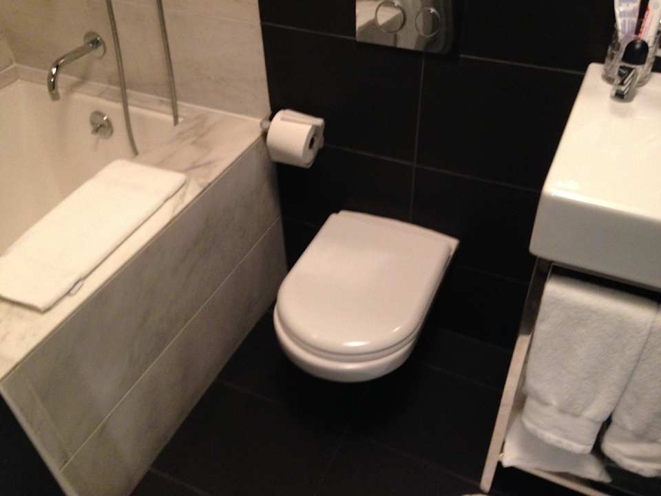 Bad Hotel Ames, A Morgans Original