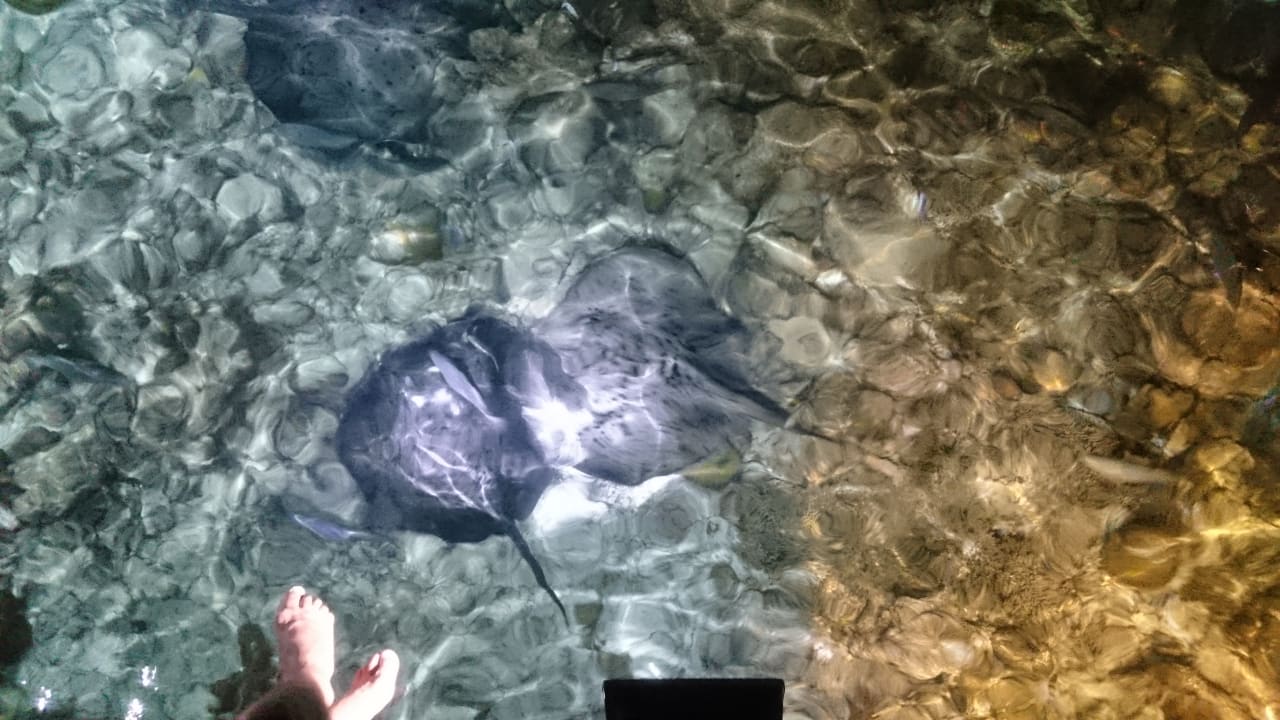 Strand Adaaran Select Meedhupparu Island Resort - Premium All Inclusive