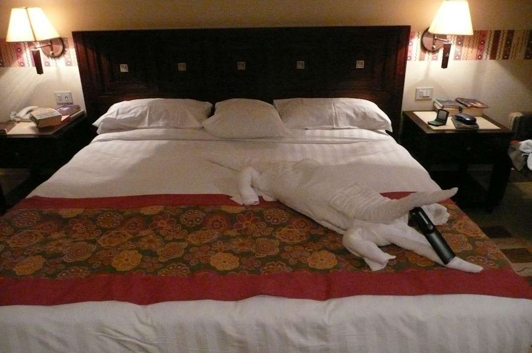 Ein Krokodil im Bett Tirana Aqua Park Resort