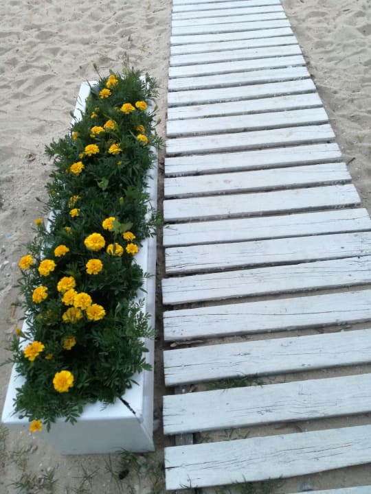 Strand Akti Ouranoupolis