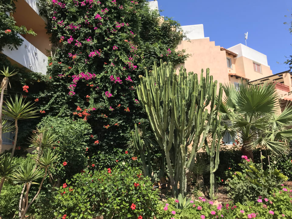 Gartenanlage Anissa Beach & Village