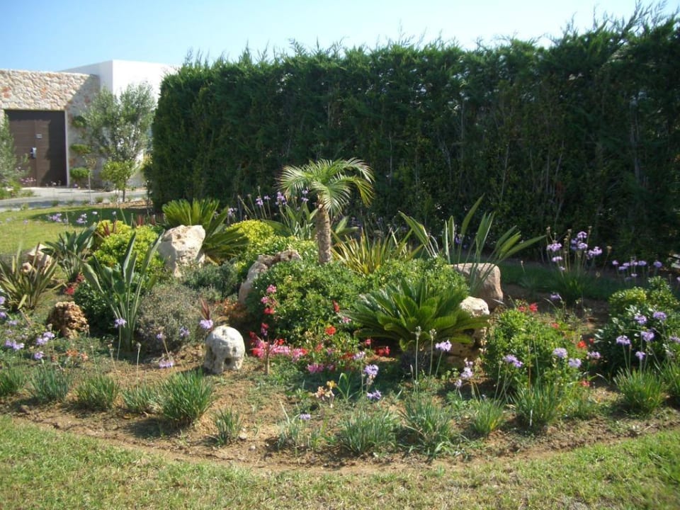 Gepflegte Gartenanlage TUI BLUE Palazzo del Mare