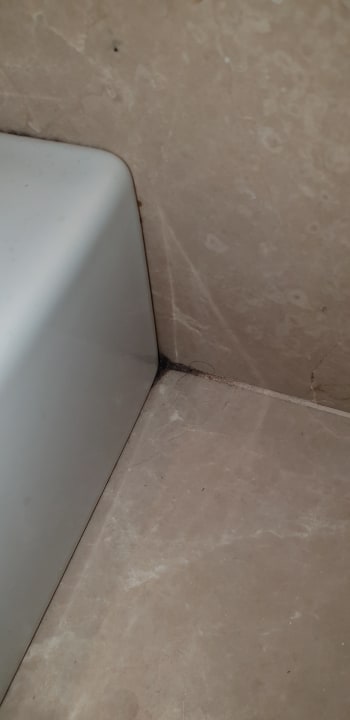 Zimmer Well Palace Side