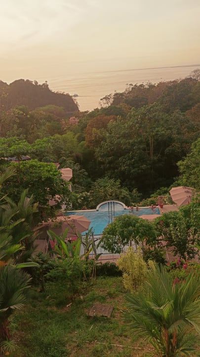 Pool Shana Hotel & Residence