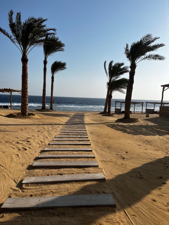 Strand Steigenberger Resort Alaya Marsa Alam - Red Sea - Adults only