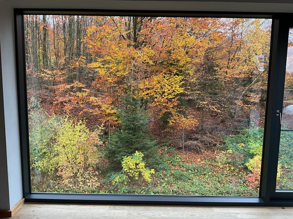 Ausblick Naturresort & Spa Schindelbruch