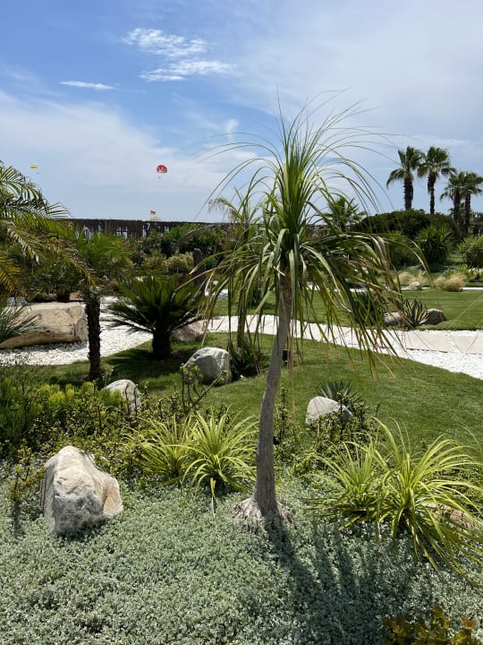 Gartenanlage Paloma Finesse
