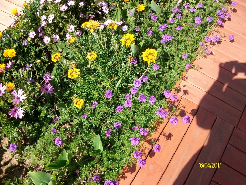 Strand Palm World Side Resort & Spa