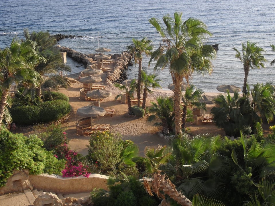 Ausblick Zimmer Pickalbatros Citadel Resort