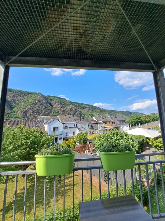 Ausblick Moselromantik Hotel Panorama