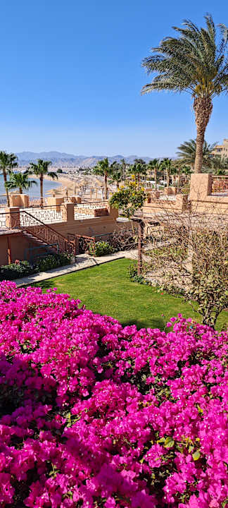 Gartenanlage Shams Prestige Abu Soma-Adults Only