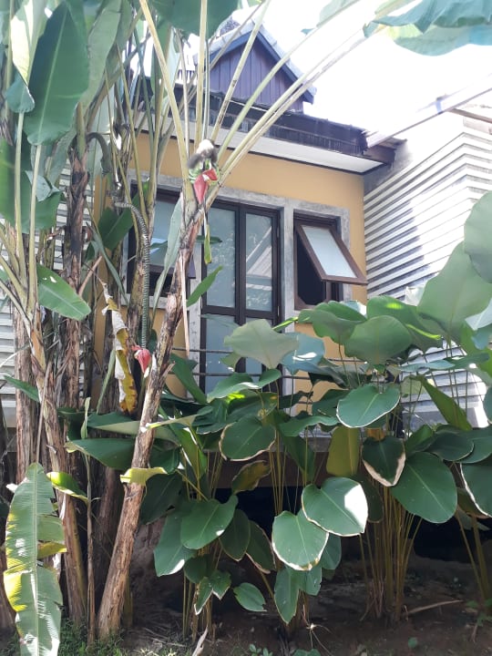 Pool Moracea by Khao Lak Resort