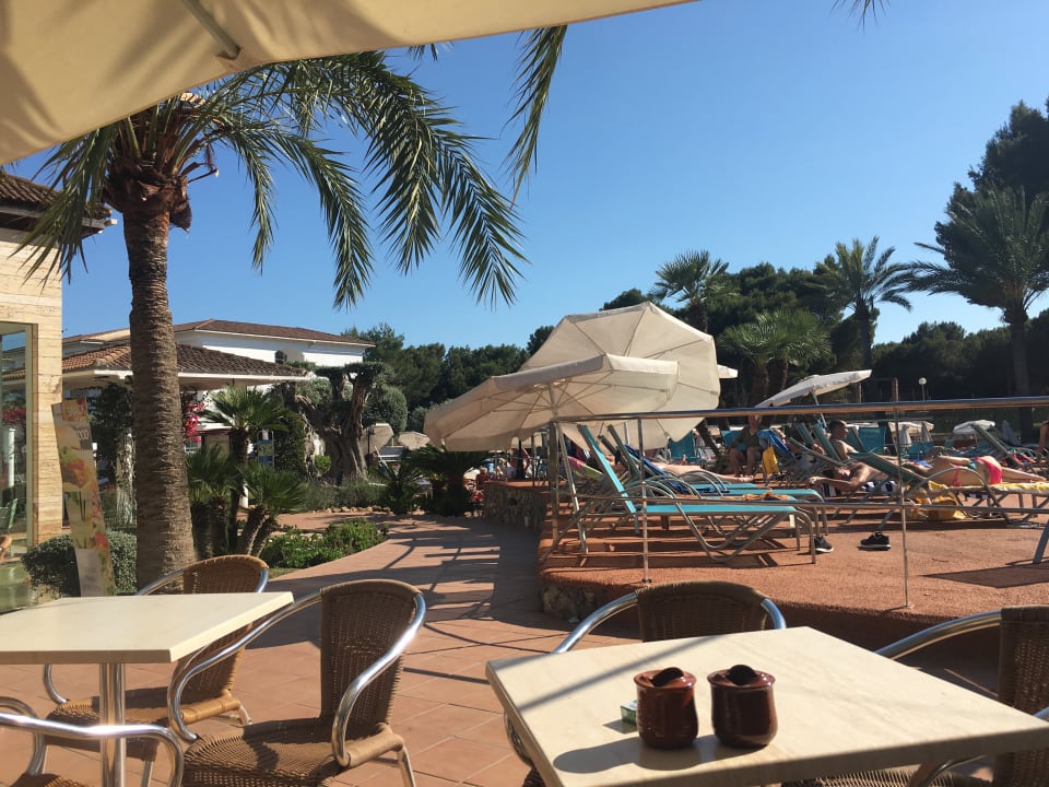 Gartenanlage Green Garden Aparthotel