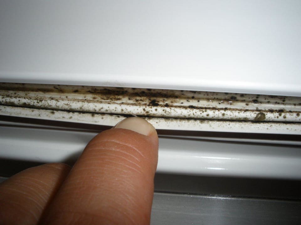 Schimmel deluxe -  Danke ITS Vantaris Luxury Beach Resort