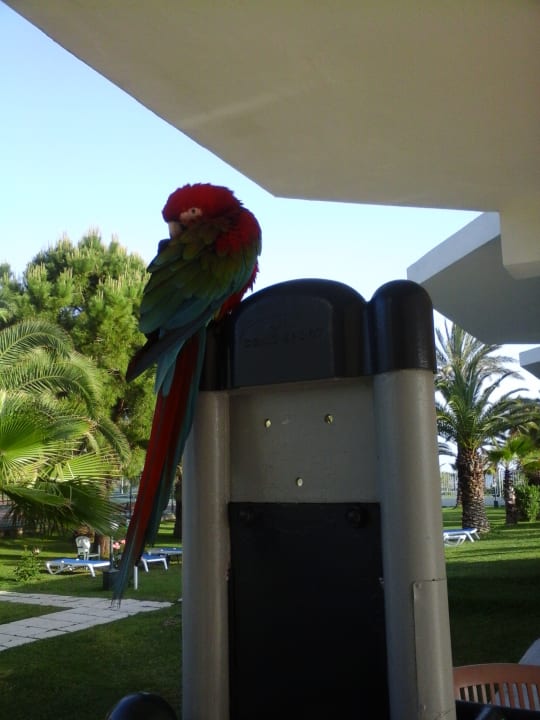 Sonstiges Süral Saray Hotel