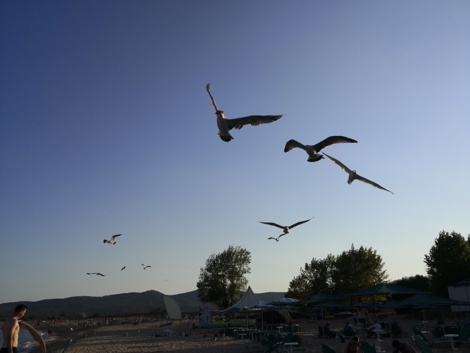 Strand Duni Royal Holiday Village