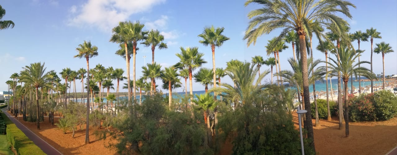 Zimmer Hipotels Mediterraneo Club