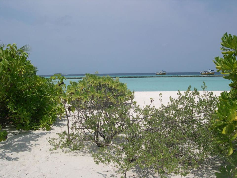 Strandblick Summer Island Maldives