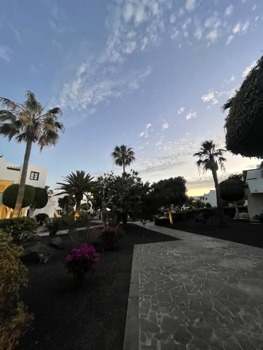 Gartenanlage allsun App.-Hotel Albatros