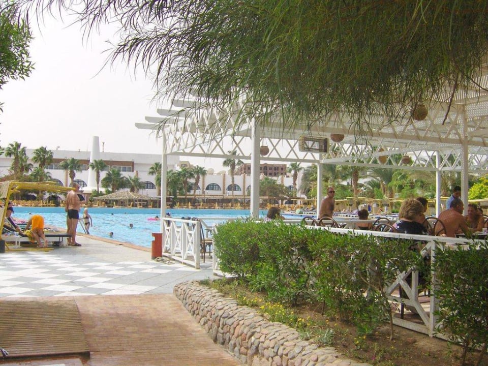 Basen i bar & miejsca do opalania Arabia Azur Resort