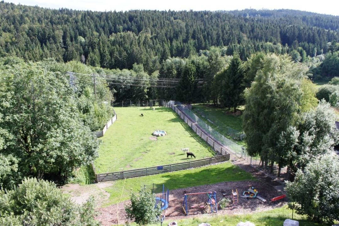 Ausblick vom Balkon aus Parkhotel Waldlust